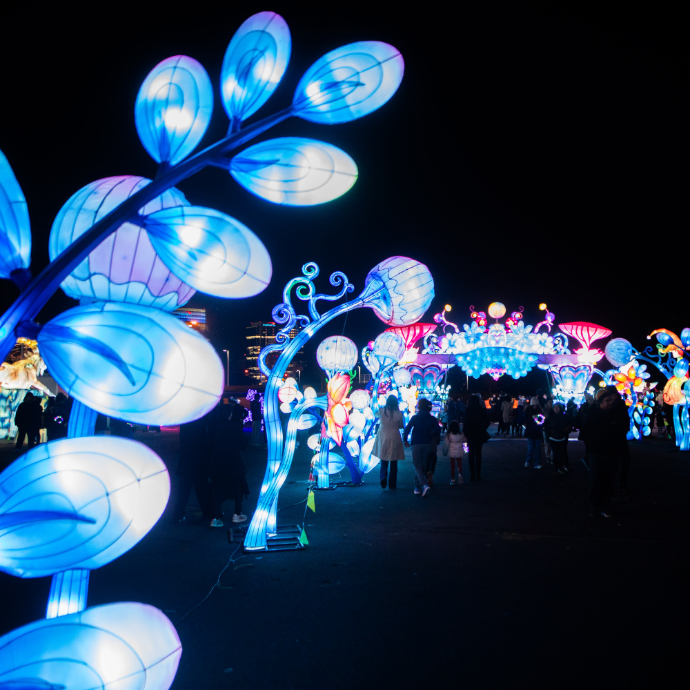Experience the Magic - Winter Lantern Festival Washington