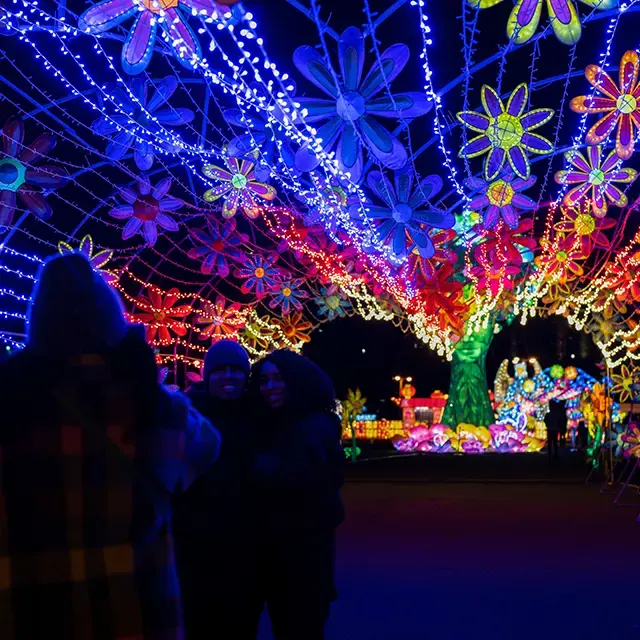 Experience the Magic - Winter Lantern Festival Atlanta