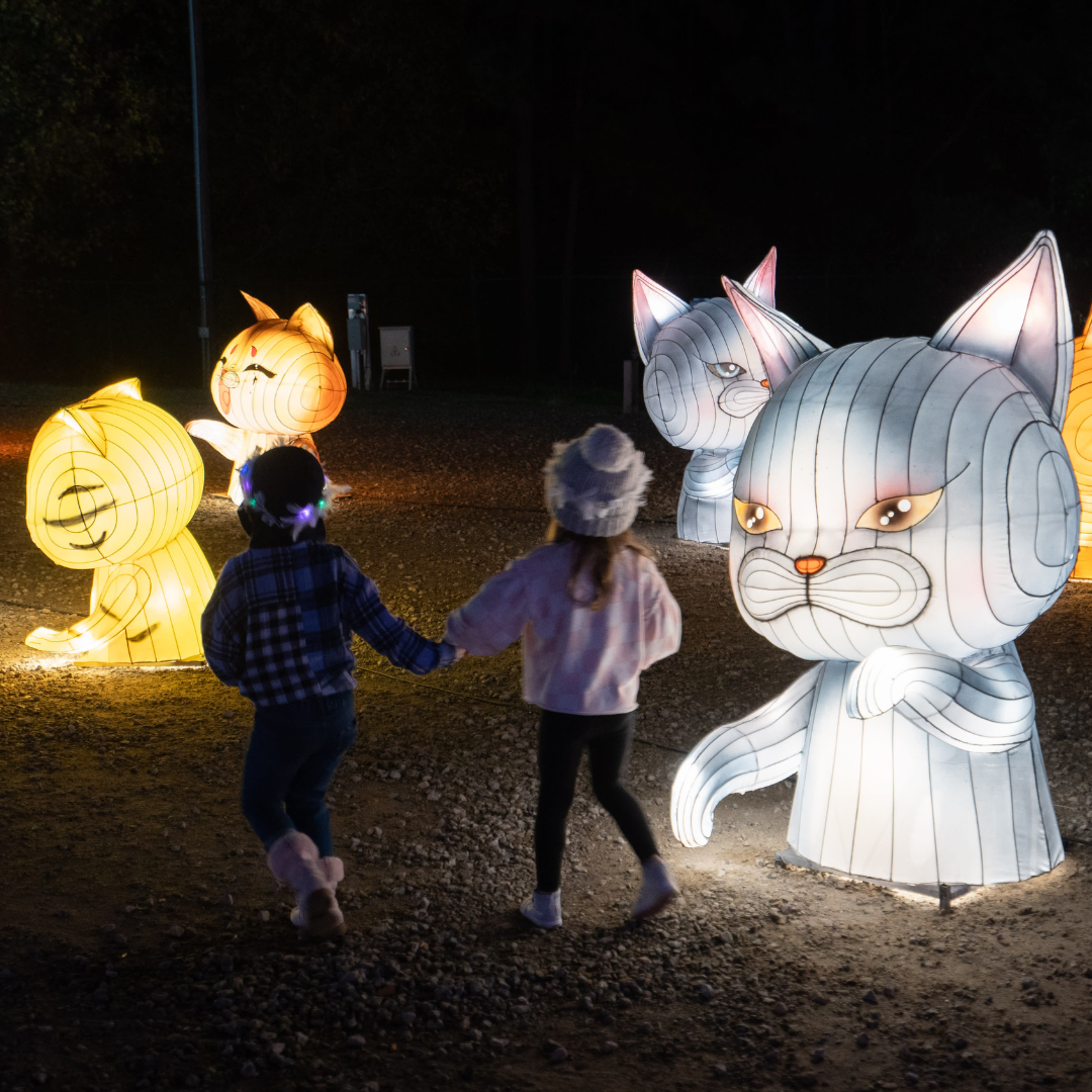 Tradition Brought to Life - Winter Lantern Festival Atlanta