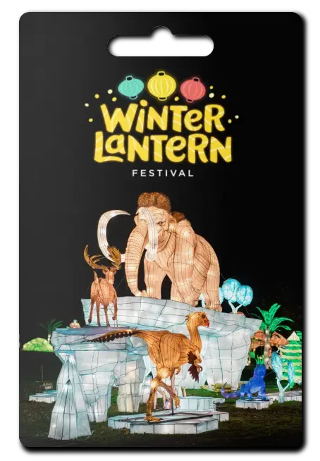 Gift Card - Winter Lantern Festival
